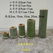 Bambu Tüp Vazo - 15cm Yükseklik - Ekstra Büyük Boy - 2