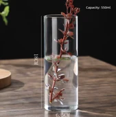 Borosilikat Cam Vazo - 6.5cm Çap 18cm Yükseklik 550ml thumbnail 1