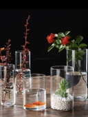 Borosilikat Cam Vazo - 6.5cm Çap 18cm Yükseklik 550ml thumbnail 2