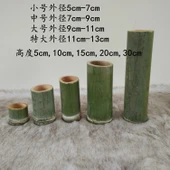 Bambu Tüp Vazo - 15cm Yükseklik - Ekstra Büyük Boy - 10