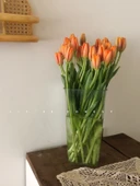 Akrilik Çiçek Tüpü - Büyük Boy Yuvarlak Yüksek Şeffaf - 38cm thumbnail 3