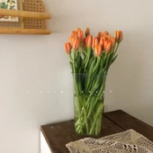 Akrilik Çiçek Tüpü - Büyük Boy Yuvarlak Yüksek Şeffaf - 38cm thumbnail 8