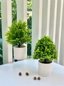 Yapay Bonsai Çizgili Saksı + Küçük Yeşil 2 - 4