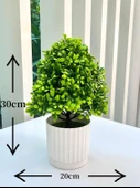 Yapay Bonsai Çizgili Saksı + Küçük Yeşil 2 - 6