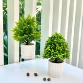 Yapay Bonsai Çizgili Saksı + Küçük Yeşil 1+3 - 1