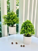 Yapay Bonsai Çizgili Saksı + Küçük Yeşil 2 - 3