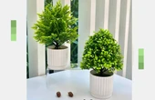 Yapay Bonsai Çizgili Saksı + Küçük Yeşil 2 - 12