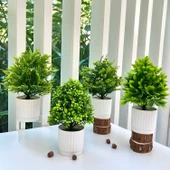 Yapay Bonsai Çizgili Saksı + Dört - 1