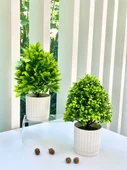 Yapay Bonsai Çizgili Saksı + Küçük Yeşil 2 - 5