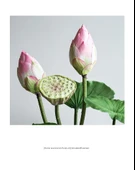 Yapay Lotus Çiçeği Aranjmanı - Açmış Lotus Pembe 8'li Karışık - 12