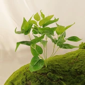 Yapay Tavuk Kalbi Yaprağı Demeti - 40cm (1 Demet) - 1
