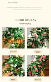 Pirinç Beyazı Yapay Gül Sarmaşığı - 1.8 Metre - Telli Sweetheart Rose - 12