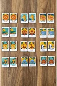 kutuTR 24 Parça Hayvanlar Serisi Zeka Kartları Eşleştirme Oyunu Hafıza Kartı Ahşap Eğitici Puzzle - 1