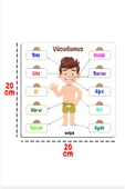 kutuTR Notpa Çocuklar İçin  Vücudumu Öpğreniyorum Eğitici Puzzle - 4