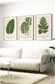kutuTR Ahşap Çerçeveli Mdf Tablo Seti Matisse, Bohem, Kusama Salon Ve Oturma Odası İçin ÇT3075 - 5