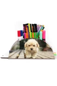 Notpa Ahşap Vip Terrier Köpek Gökkuşağı Cetvelli Masaüstü Kalemlik Organizer Vip131 thumbnail 1