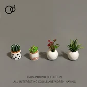 Mini Minyatür Saksı Bitki Dekorasyonu - 2.5-3cm - 8