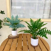 Taş Saksıda Yapay Yeşil Bonsai - Kaplumbağa Sırtı Yaprağı (Yüksek + Alçak) thumbnail 7