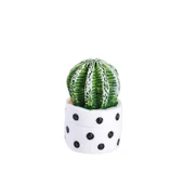 Mini Minyatür Saksı Bitki Dekorasyonu - 2.5-3cm - 11