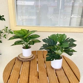 Taş Saksıda Yapay Yeşil Bonsai - Kaplumbağa Sırtı Yaprağı (Yüksek + Alçak) thumbnail 8