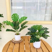 Taş Saksıda Yapay Yeşil Bonsai - Kaplumbağa Sırtı Yaprağı (Yüksek + Alçak) thumbnail 1