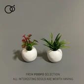 Mini Minyatür Saksı Bitki Dekorasyonu - 2.5-3cm - 5