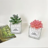 Yapay Sukulent Bitki - Küçük Aloe + Küçük Kılıç Otu + Tianshan Kar Lotusu - 3