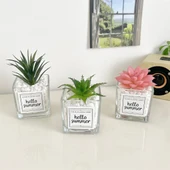 Yapay Sukulent Bitki - Küçük Aloe + Küçük Kılıç Otu + Tianshan Kar Lotusu - 1