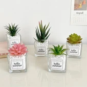 Yapay Sukulent Bitki - Aloe Vera + Küçük Kare Cam - 4