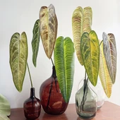 Yaprak Duvar Dekoru - Ateş Vinç Kralı / Kamuflaj Yeşil thumbnail 5