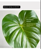 Yaprak Duvar Dekoru - Ateş Vinç Kralı / Kamuflaj Yeşil thumbnail 10