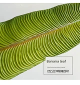 Yaprak Duvar Dekoru - Ateş Vinç Kralı / Kamuflaj Yeşil thumbnail 11