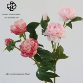 Simülasyon Şakayık Çiçeği - Pembe 1/D Şakayık - 11