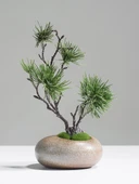 Seramik Vazoda Yapay Çam Bonsai - Siyah Çiçekli - 2