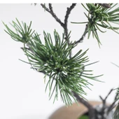 Seramik Vazoda Yapay Çam Bonsai - Siyah Çiçekli - 11