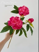 Simülasyon Şakayık Çiçeği - Gül 1/D Şakayık thumbnail 2