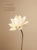 Doğal Kurutulmuş Çiçekler - Süt Beyazı Ahşap Lotus - 1