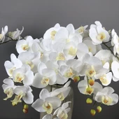 Yapay 9 Başlıklı Film Phalaenopsis Orkide Çiçeği - Açık Mor - 11