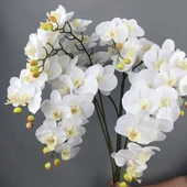 Yapay 9 Başlıklı Film Phalaenopsis Orkide Çiçeği - Açık Mor - 2