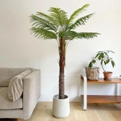 Yapay İğne Yapraklı Ayçiçeği Bitkisi - 120cm - 6 Yapraklı - 5