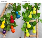 Üzüm Yapraklı Kabak Boru Dekorasyonu - Köpük Büyük Elma 4 (20 Meyve) thumbnail 10