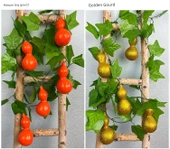 Üzüm Yapraklı Kabak Boru Dekorasyonu - Köpük Büyük Elma 4 (20 Meyve) thumbnail 11