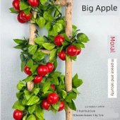 Üzüm Yapraklı Kabak Boru Dekorasyonu - Köpük Büyük Elma 4 (20 Meyve) thumbnail 1