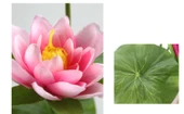 Yapay Lotus Çiçeği Aranjmanı - İki Lotus Plastik Saksıda 2 Turuncu Demet - 11