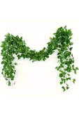 Yapay Sarmaşık 12'li Uzunluk 2 Metre 40 cm - 2