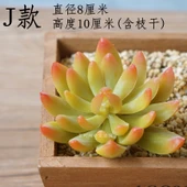 Saksıda Yapay Çöl Sukulent Bitki - Paragraf J thumbnail 1