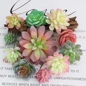 Saksıda Yapay Çöl Sukulent Bitki - Paragraf J thumbnail 5