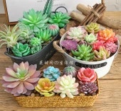 Saksıda Yapay Çöl Sukulent Bitki - Paragraf J thumbnail 8