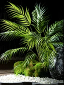 Yapay Yeşil Yapraklı Eğrelti Otu Bitkisi - 15 Yapraklı Siyah Saçlı Eğrelti Otu [yükseklik 70cm genişlik 70cm] thumbnail 4