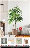 Yapay Pachira Macrocarpa 1.6 m Ruyi - İskandinav Sepet - 1